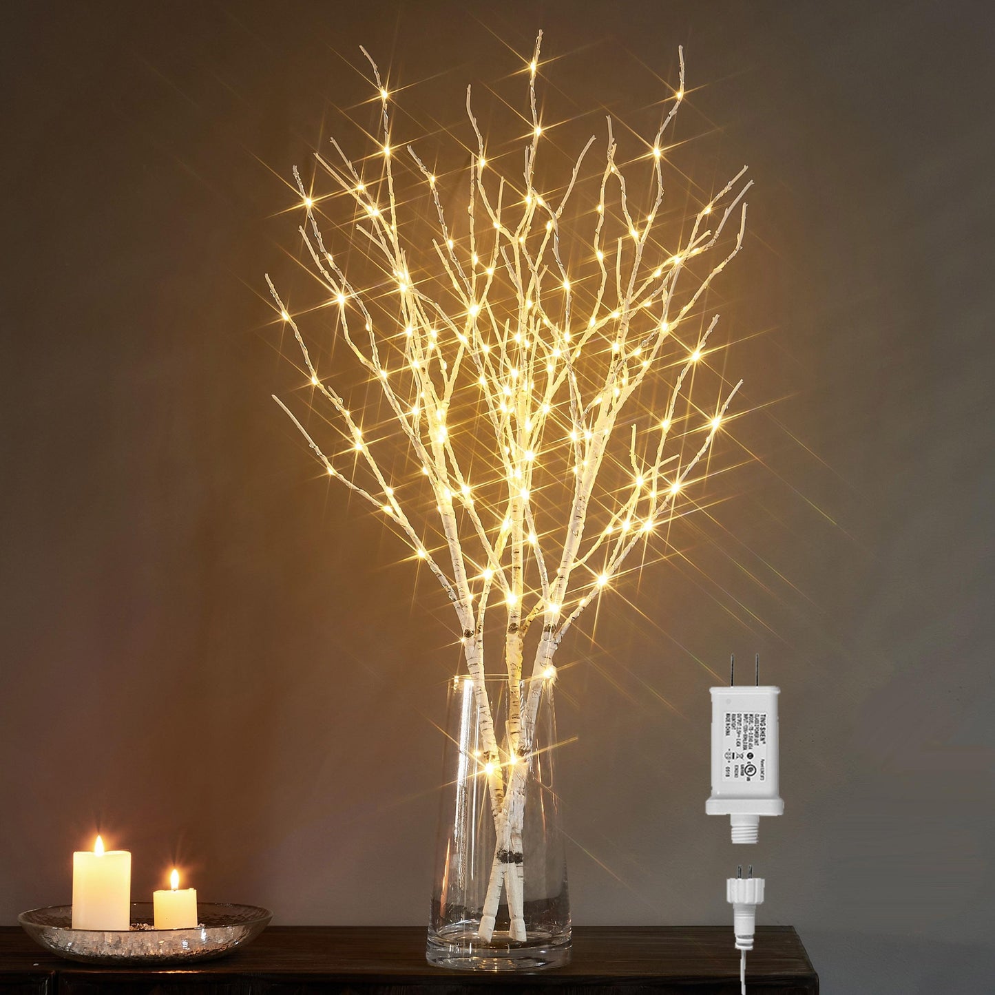 Birch Branch LED Night Light - Ambient Table Lamp