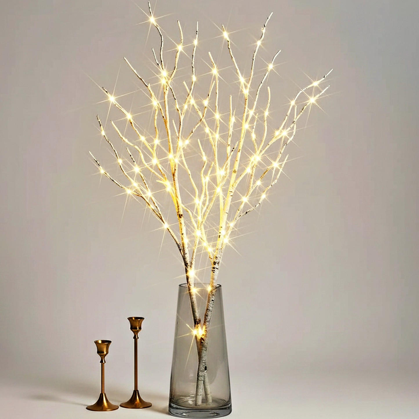Birch Branch Ambient Light - clean uniform edit
